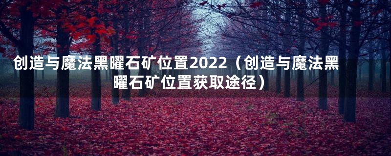 创造与魔法黑曜石矿位置2022（创造与魔法黑曜石矿位置获取途径）