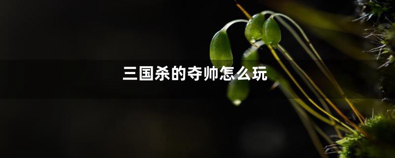 三国杀的夺帅怎么玩