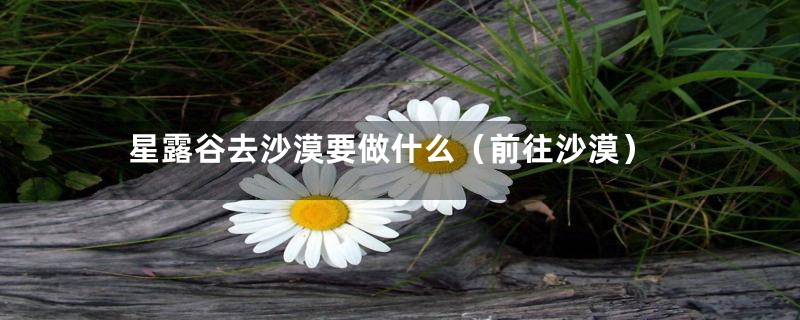 星露谷去沙漠要做什么（前往沙漠）