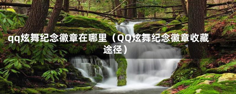 qq炫舞纪念徽章在哪里（QQ炫舞纪念徽章收藏途径）