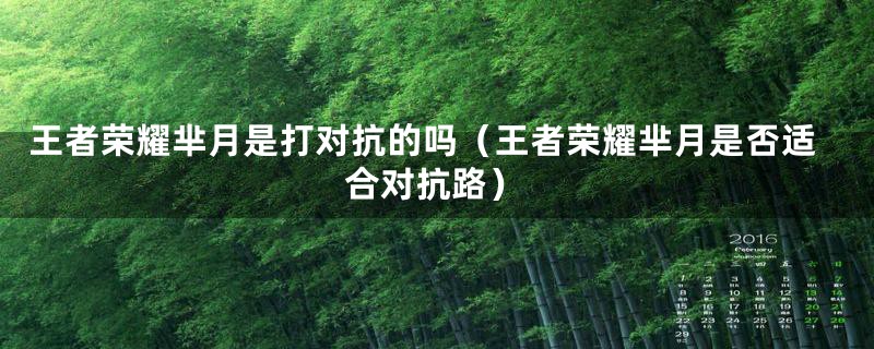 王者荣耀芈月是打对抗的吗（王者荣耀芈月是否适合对抗路）