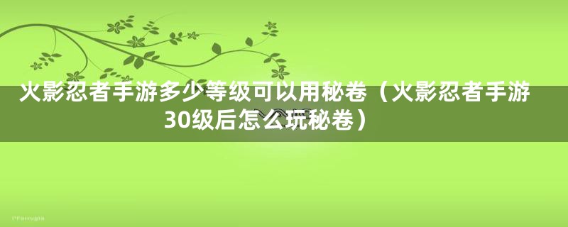 火影忍者手游多少等级可以用秘卷（火影忍者手游30级后怎么玩秘卷）