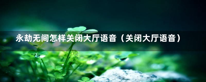 永劫无间怎样关闭大厅语音（关闭大厅语音）