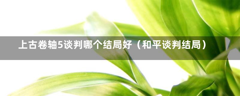 上古卷轴5谈判哪个结局好（和平谈判结局）