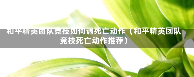 和平精英团队竞技如何调死亡动作（和平精英团队竞技死亡动作推荐）