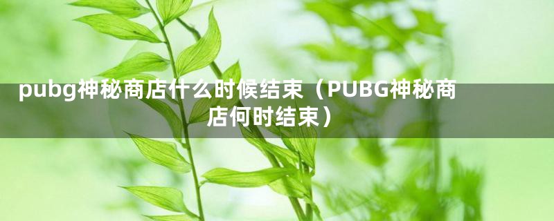 pubg神秘商店什么时候结束（PUBG神秘商店何时结束）