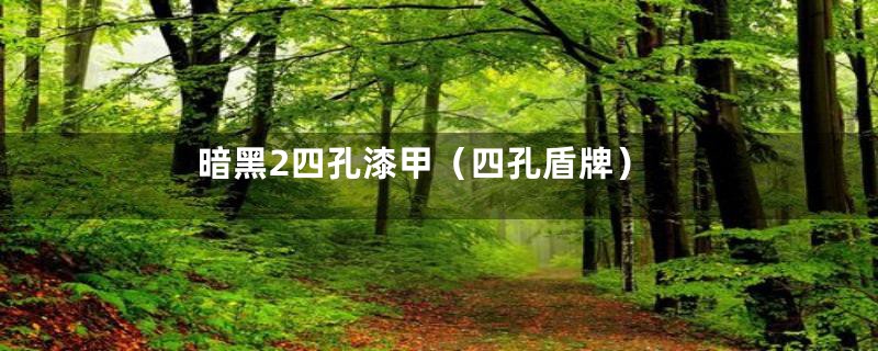 暗黑2四孔漆甲（四孔盾牌）