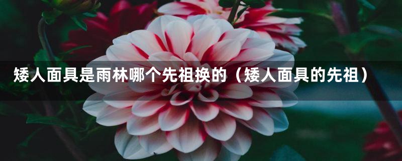 矮人面具是雨林哪个先祖换的（矮人面具的先祖）