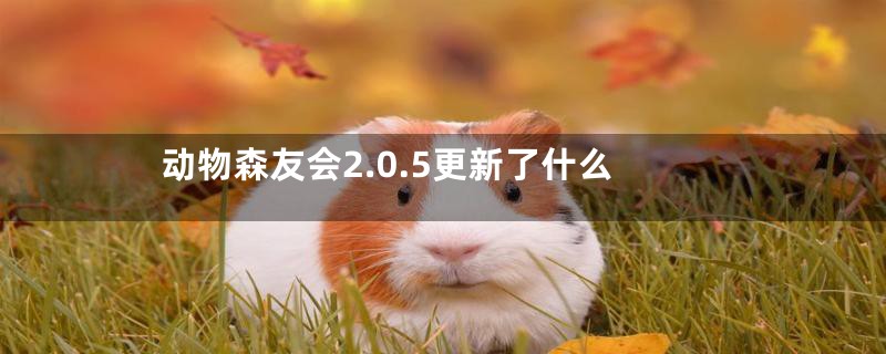 动物森友会2.0.5更新了什么