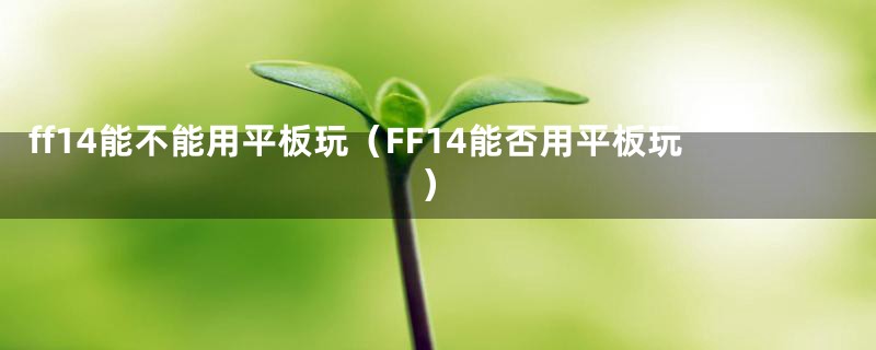 ff14能不能用平板玩（FF14能否用平板玩）