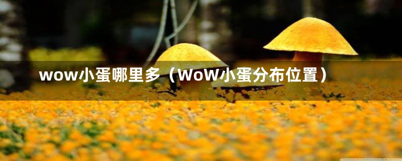 wow小蛋哪里多（WoW小蛋分布位置）