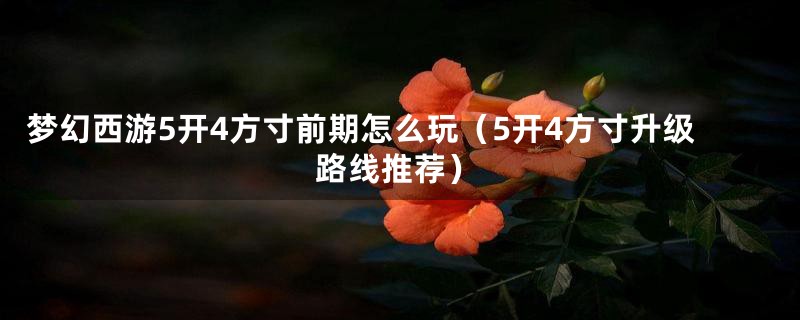 梦幻西游5开4方寸前期怎么玩（5开4方寸升级路线推荐）