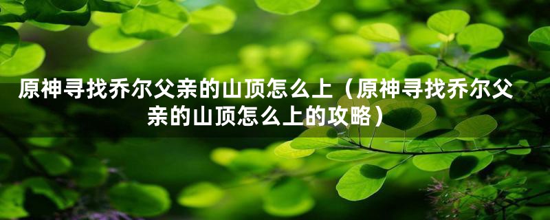 原神寻找乔尔父亲的山顶怎么上（原神寻找乔尔父亲的山顶怎么上的攻略）