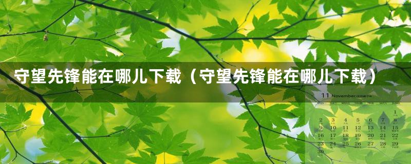 守望先锋能在哪儿下载（守望先锋能在哪儿下载）