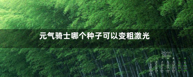 元气骑士哪个种子可以变粗激光