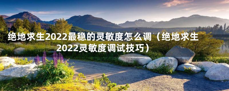 绝地求生2022最稳的灵敏度怎么调（绝地求生2022灵敏度调试技巧）