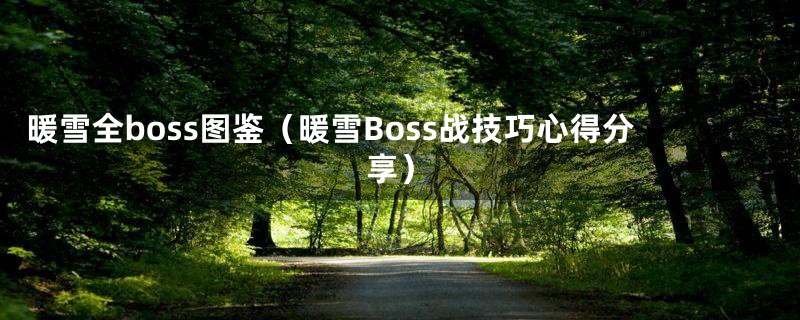 暖雪全boss图鉴（暖雪Boss战技巧心得分享）