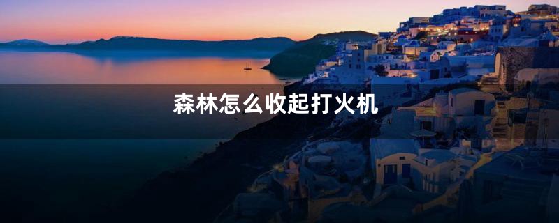 森林怎么收起打火机