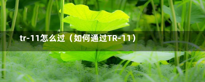 tr-11怎么过（如何通过TR-11）