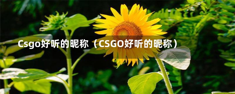 Csgo好听的昵称（CSGO好听的昵称）