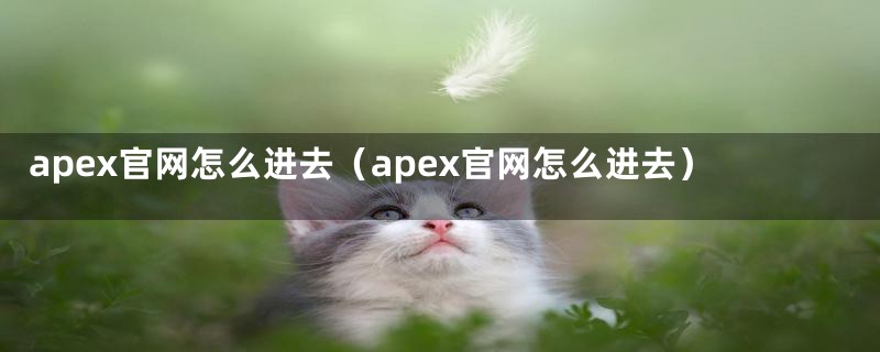 apex官网怎么进去（apex官网怎么进去）