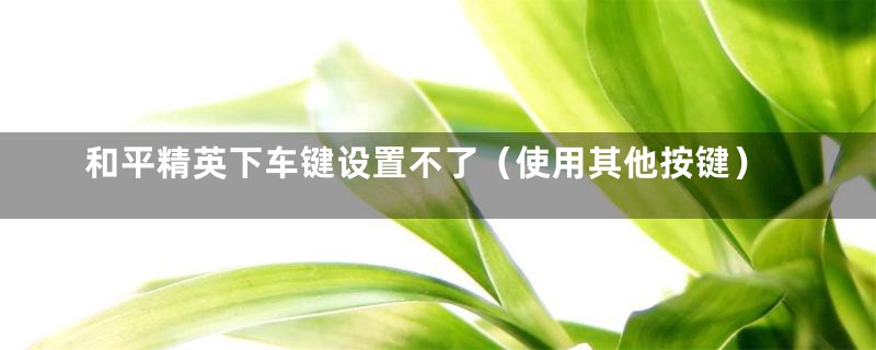 和平精英下车键设置不了（使用其他按键）