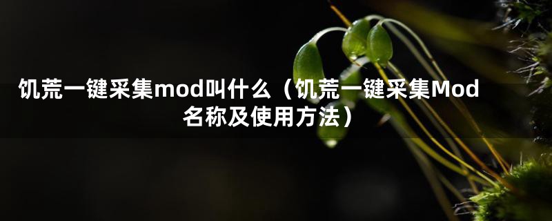 饥荒一键采集mod叫什么（饥荒一键采集Mod名称及使用方法）