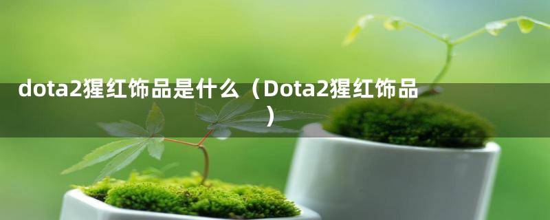 dota2猩红饰品是什么（Dota2猩红饰品）