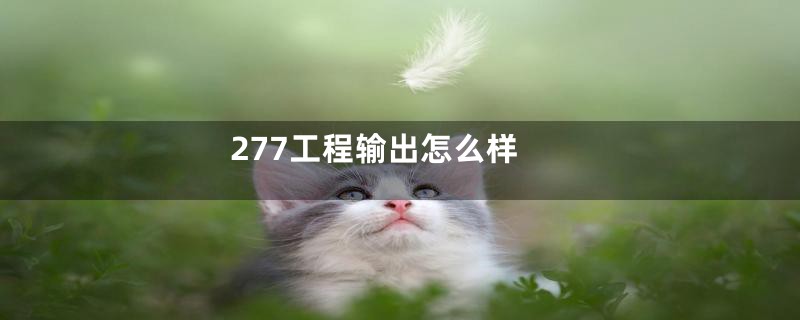 277工程输出怎么样