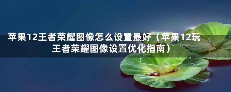 苹果12王者荣耀图像怎么设置最好（苹果12玩王者荣耀图像设置优化指南）