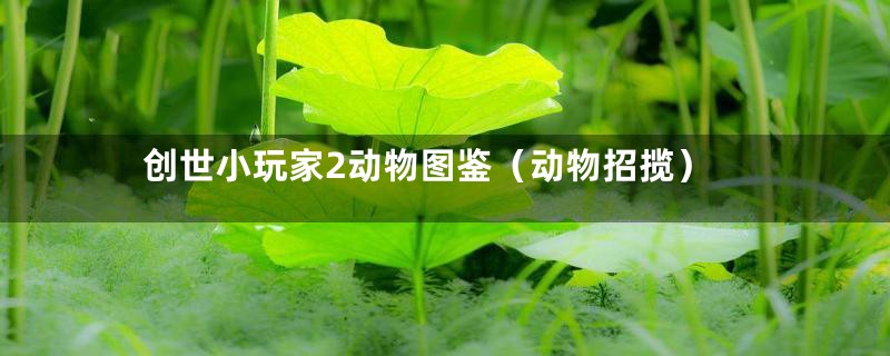 创世小玩家2动物图鉴（动物招揽）