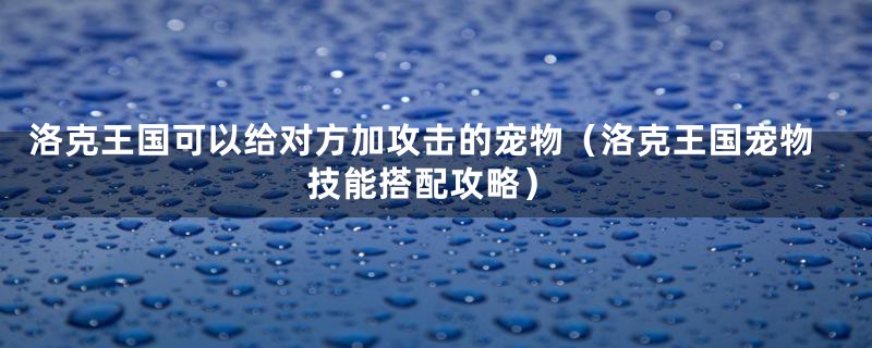 洛克王国可以给对方加攻击的宠物（洛克王国宠物技能搭配攻略）