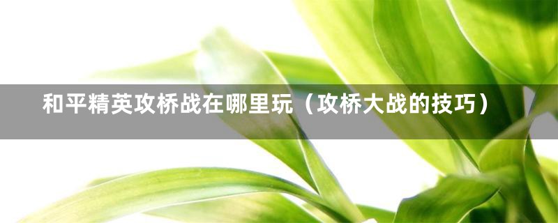 和平精英攻桥战在哪里玩（攻桥大战的技巧）