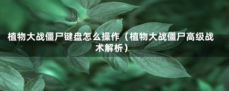 植物大战僵尸键盘怎么操作（植物大战僵尸高级战术解析）