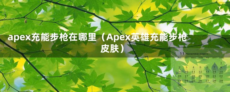 apex充能步枪在哪里（Apex英雄充能步枪皮肤）