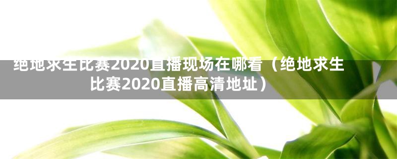 绝地求生比赛2020直播现场在哪看（绝地求生比赛2020直播高清地址）