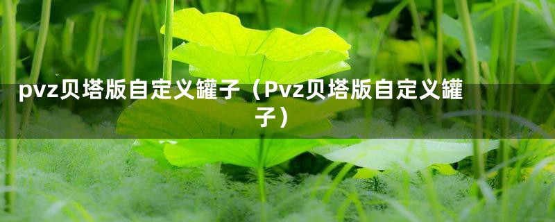 pvz贝塔版自定义罐子（Pvz贝塔版自定义罐子）