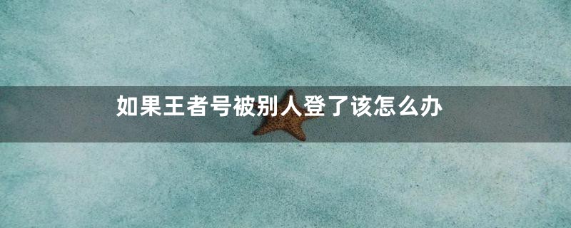 如果王者号被别人登了该怎么办