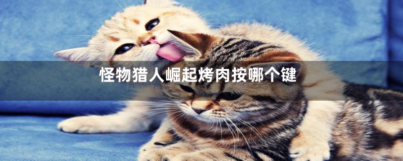 怪物猎人崛起烤肉按哪个键