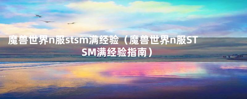 魔兽世界n服stsm满经验（魔兽世界n服STSM满经验指南）