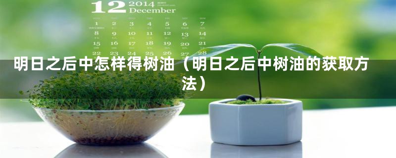 明日之后中怎样得树油（明日之后中树油的获取方法）