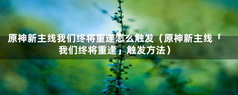 原神新主线我们终将重逢怎么触发（原神新主线「我们终将重逢」触发方法）