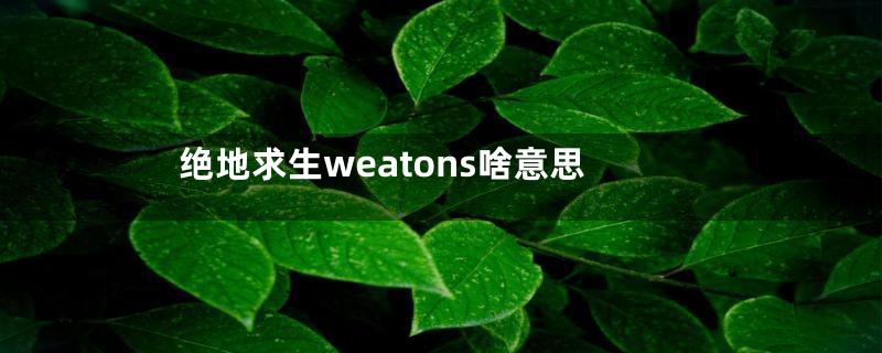 绝地求生weatons啥意思