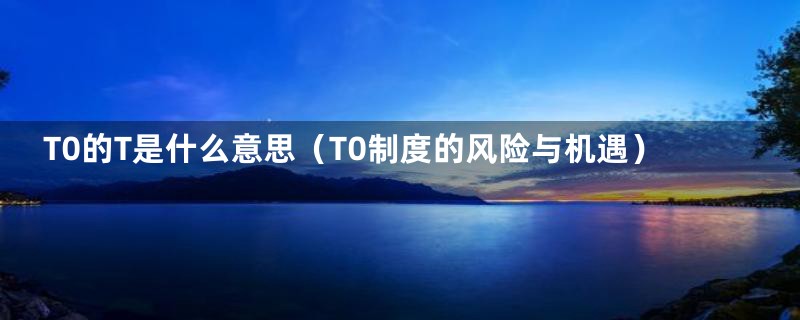 T0的T是什么意思（T0制度的风险与机遇）