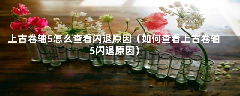 上古卷轴5怎么查看闪退原因（如何查看上古卷轴5闪退原因）