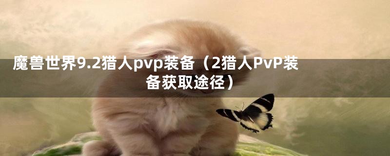 魔兽世界9.2猎人pvp装备（2猎人PvP装备获取途径）