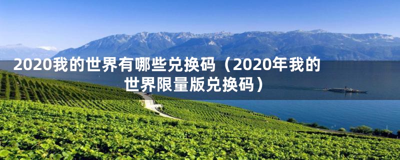 2020我的世界有哪些兑换码（2020年我的世界限量版兑换码）