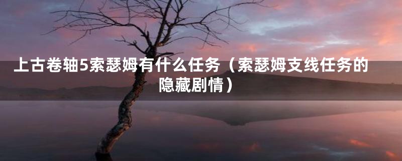 上古卷轴5索瑟姆有什么任务（索瑟姆支线任务的隐藏剧情）