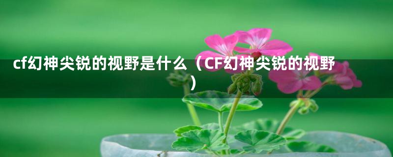 cf幻神尖锐的视野是什么（CF幻神尖锐的视野）