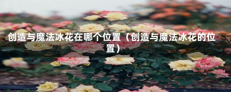 创造与魔法冰花在哪个位置（创造与魔法冰花的位置）